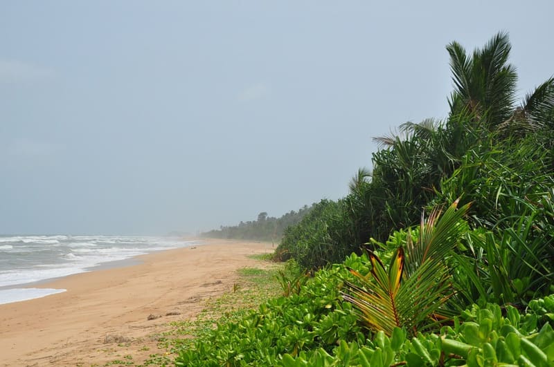 Bentota, Colombo