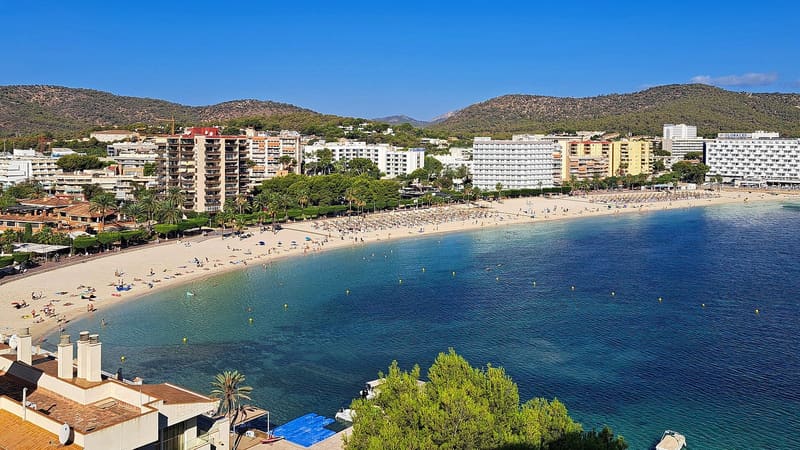 Palmanova, Palma