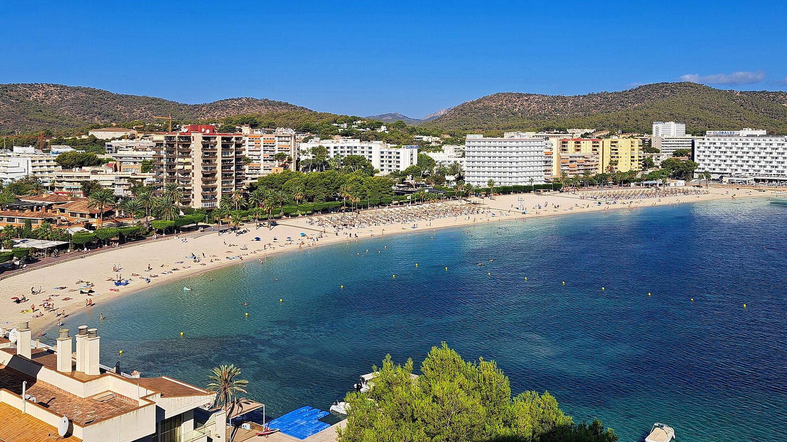 Palmanova, Palma