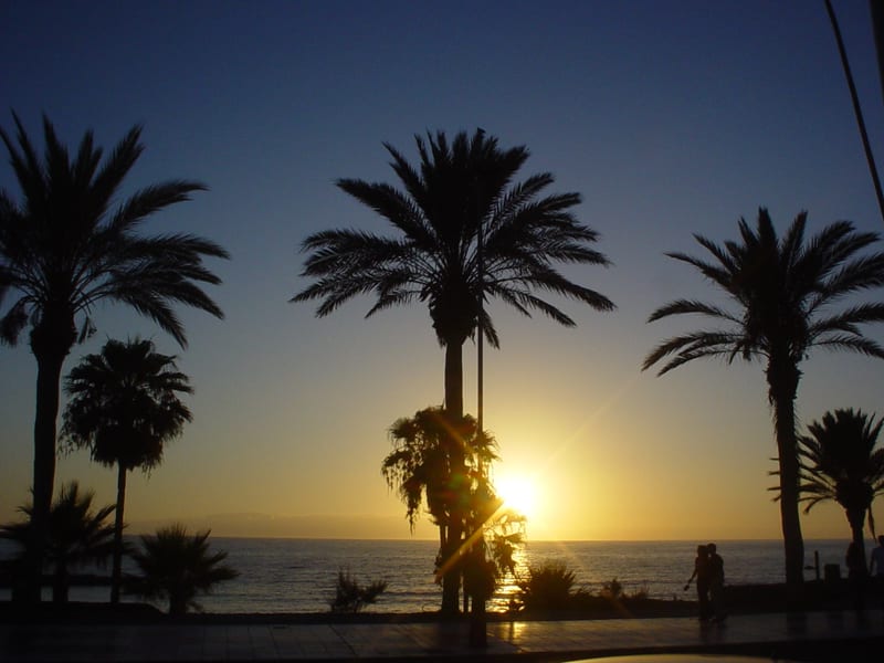 Playa de las Américas, Tenerife