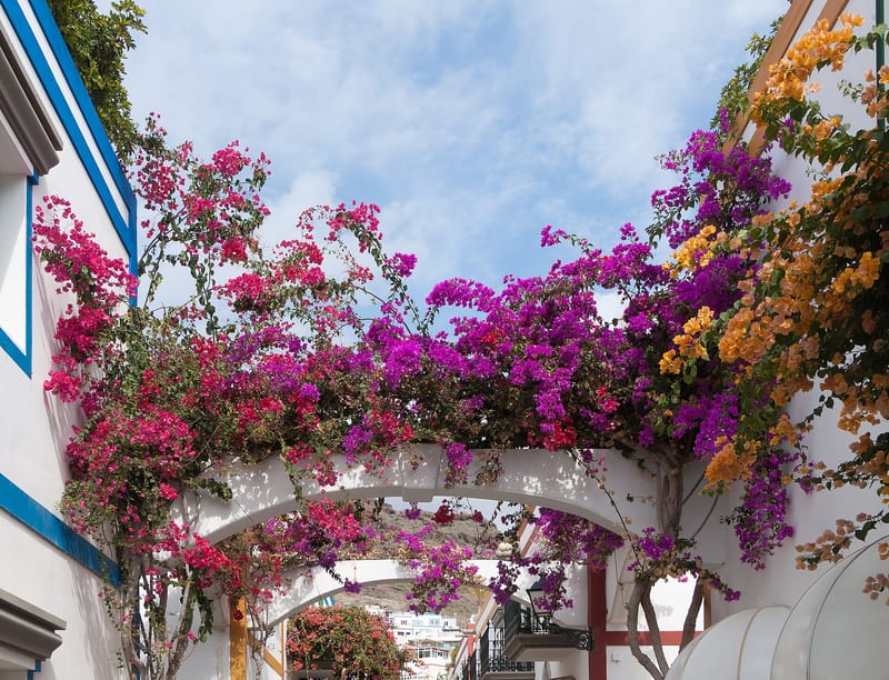 Puerto de Mogán, Las Palmas