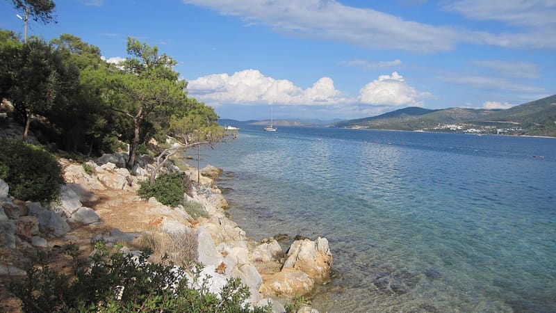 Torba, Bodrum